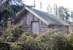 Johns Log Cabin, 2011: Barnum Island Survey, Isle Royale National Park.